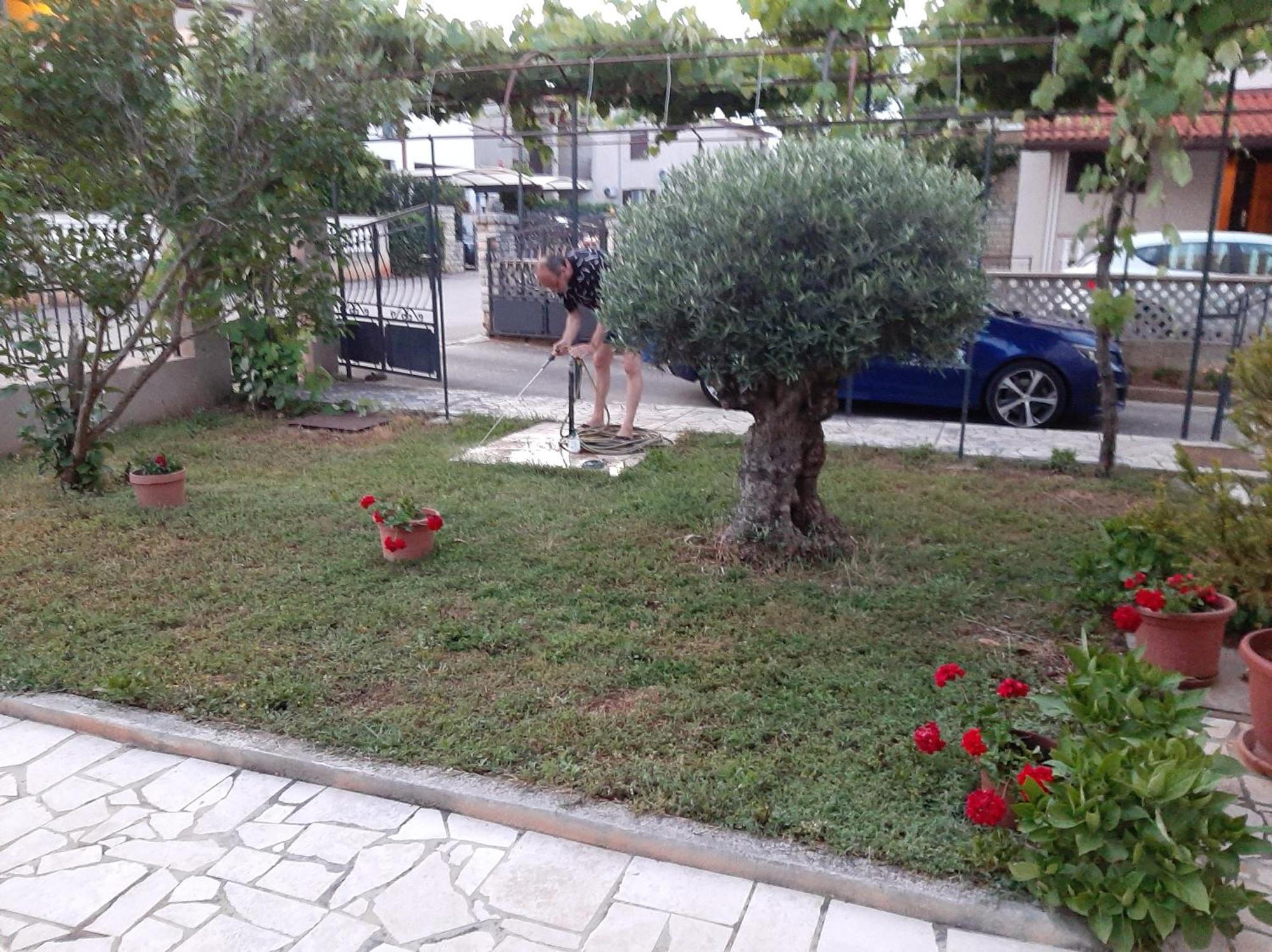 Apartment Stefania Rovinj Room photo